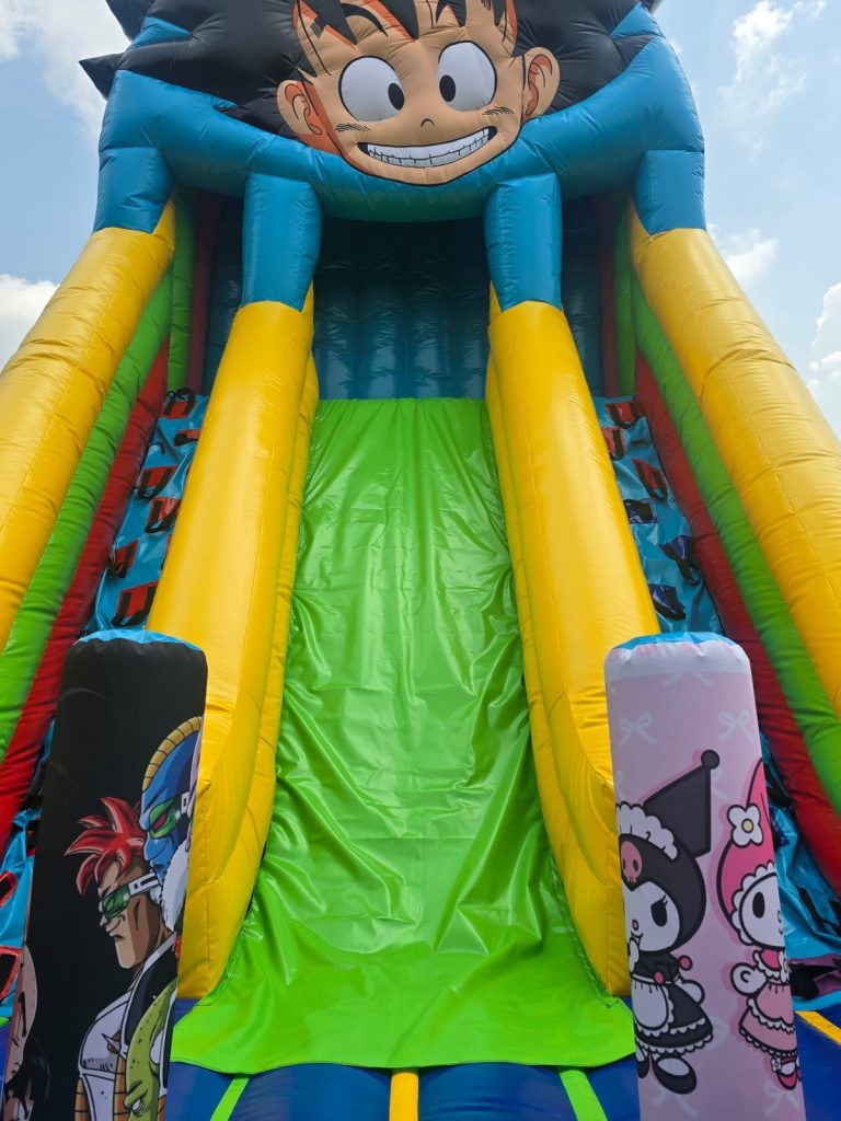 Tobogán Goku 1